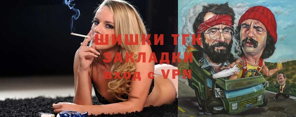 мдпв Богородицк