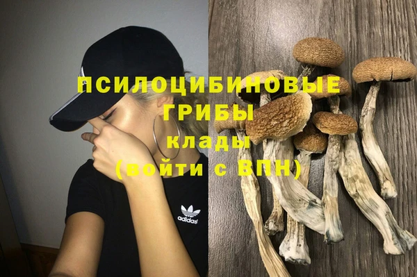 МДПВ Богданович