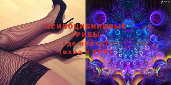 мдпв Богородицк