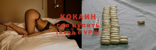 мдпв Богородицк
