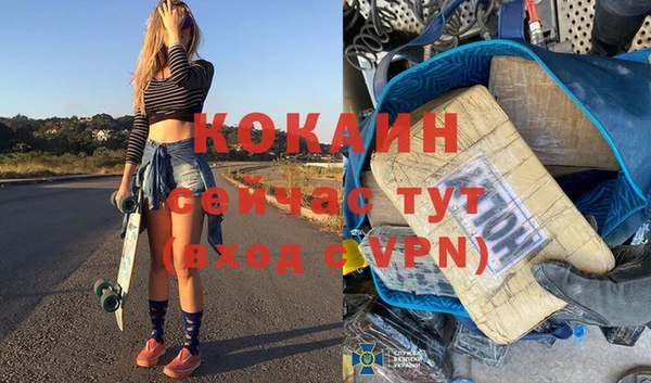 сатива Белокуриха