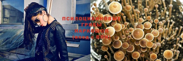 мдпв Богородицк