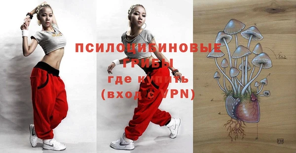 мдпв Богородицк