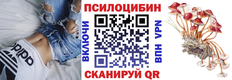где купить наркоту  Янаул  Псилоцибиновые грибы мухоморы 