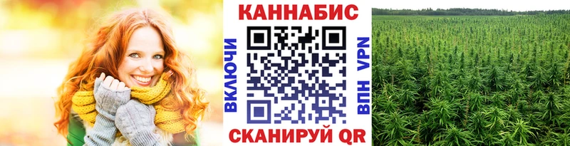 Шишки марихуана OG Kush Янаул